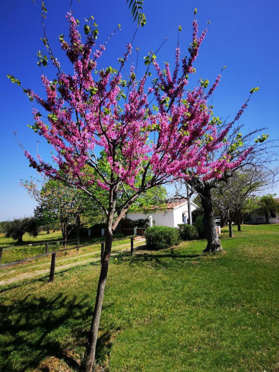 Casa Tonino Villa Pisticci Luaran gambar